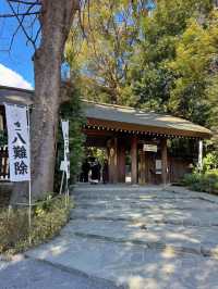 【東京】ここ行ったらやるべき3つのこと🌸桜の神結びで運気アップ