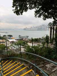 從歷史的高處，看見另一面的維港風景。