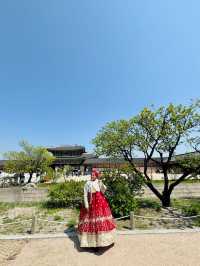 Wearing Hanbok Walk Around Gyeongbokgung Palace😍