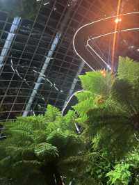 【シンガポール】シンガポールオススメ観光地③