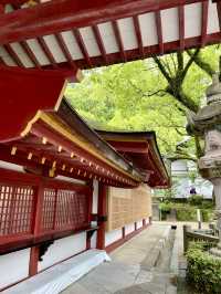 福岡必去太宰府天滿宮