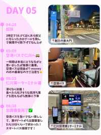 【韓国旅行】4泊5日のひとり韓国旅🇰🇷✈️(後編)