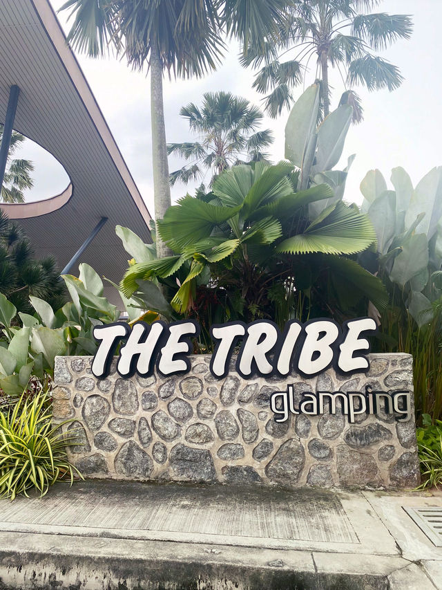 🏕️ Nature Escape: A Glamping Afternoon at The Tribe!