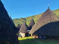 Culture and wildlife