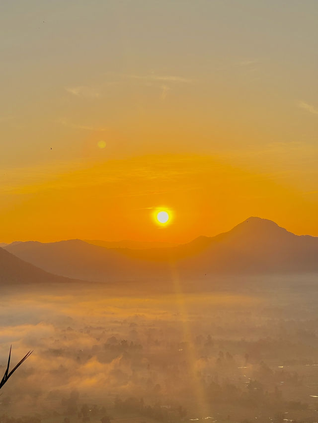 หน้าฝนนี้ ไปดูทะเลหมอกภูทอกกันนนน 🌄🤍
