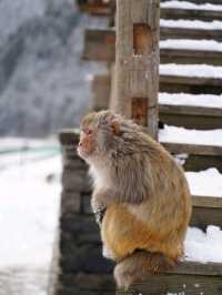 อุทยานธารน้ำแข็งต๋ากู (Dagu Glacier National Park)