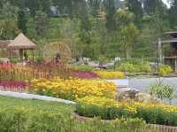 สีสันบนดอยใต้สุด สวนหมื่นบุปผา เบตง