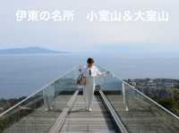 伊東の絶景スポット　大室山＆小室山