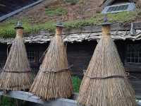 Skansen: Stockholm’s Open-Air Time Machine