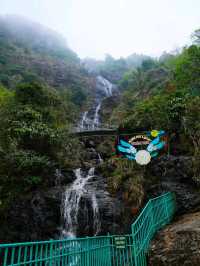 Sapa: Misty Mountains and Timeless Traditions
