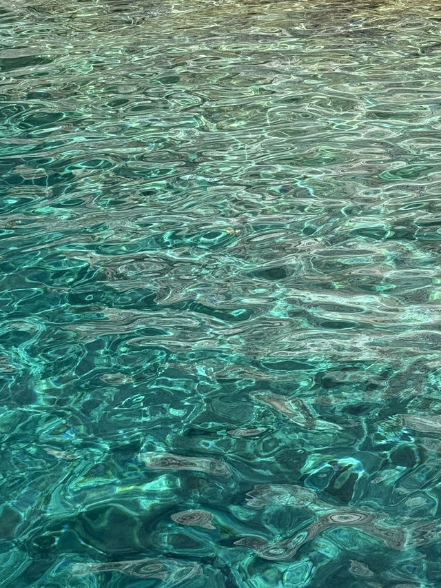 【ザキントス島の魅力を堪能🏝️】