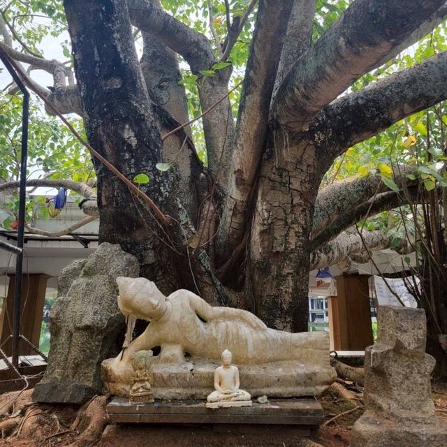 【コロンボ】シーマ・マラカヤ寺