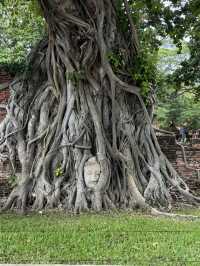 Wat Mahathat in Ayutthaya, Thailand 