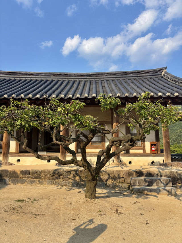 안동여행을 당일치기로 떠나기 좋은 여행코스🥰