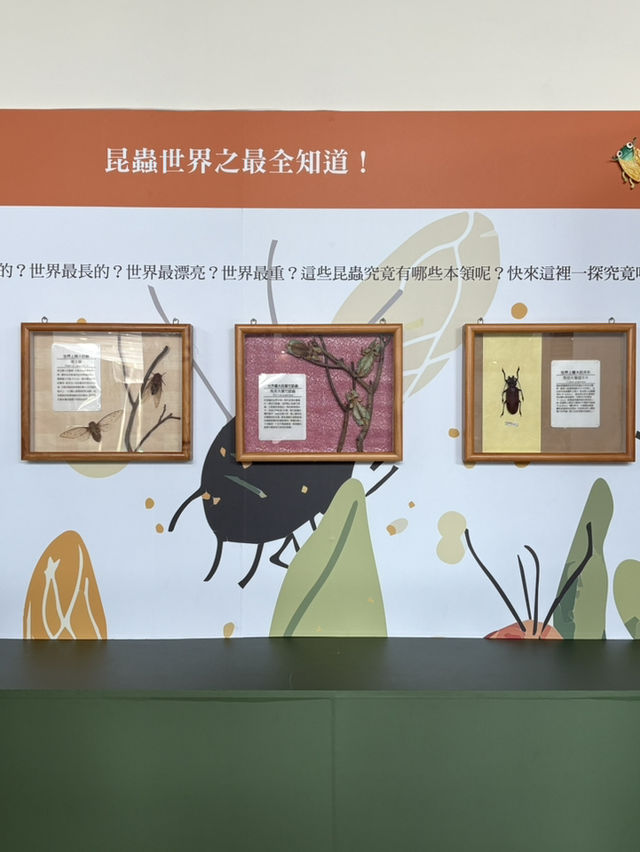 嘉義縣科學教育中心🚀 小小科學迷必訪 免門票/雨備最佳親子景點！