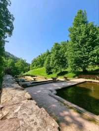 Black Forest National Park – Germany’s Enchanted Wilderness
