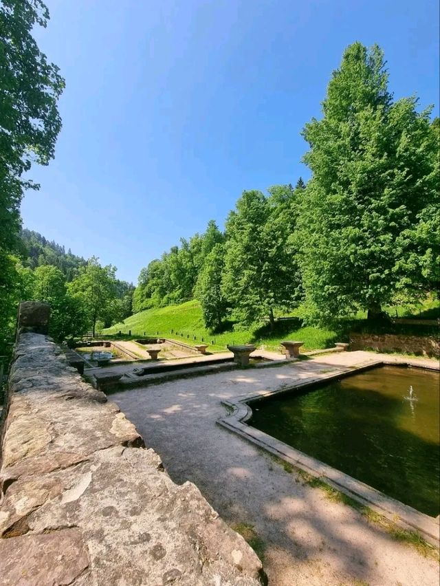 Black Forest National Park – Germany’s Enchanted Wilderness