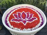 Unique Stay at Magic Hill Bali – Avatar House