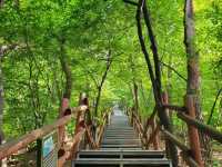 Short Climb, Peaceful Vibes, Hidden Gem Energy