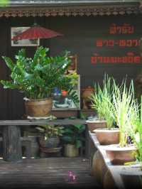 💯 พักผ่อนชิลๆ ชมวิวท้องนา บ้านมะขวิด