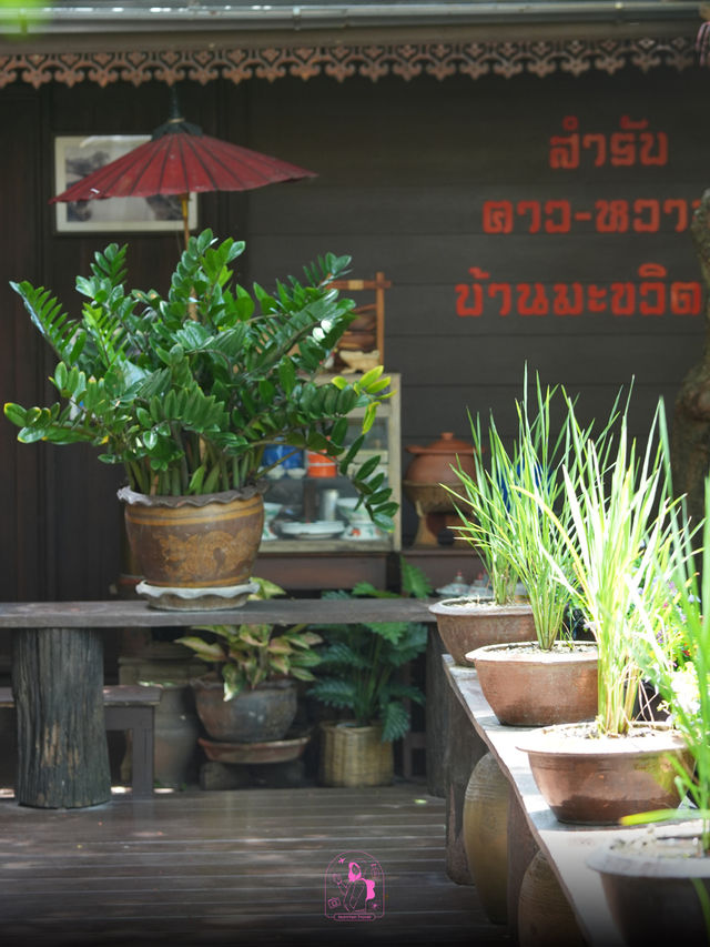 💯 พักผ่อนชิลๆ ชมวิวท้องนา บ้านมะขวิด