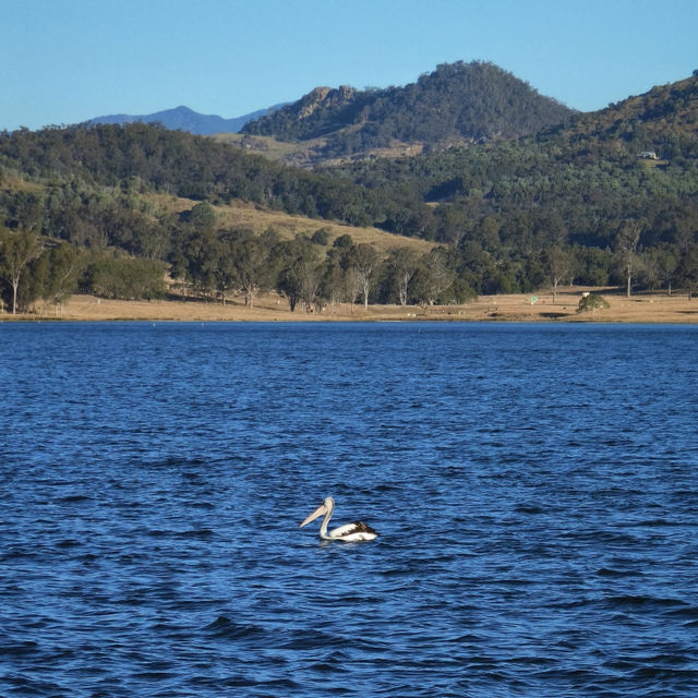 🌞 Weekend Escape to Lake Moogerah | Chill by the Water + Stargazing Adventure