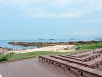野柳地質公園初次探訪｜奇岩美景與酷熱考驗的一天｜寵物友善景點