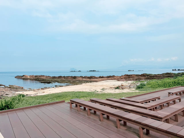 野柳地質公園初次探訪｜奇岩美景與酷熱考驗的一天｜寵物友善景點