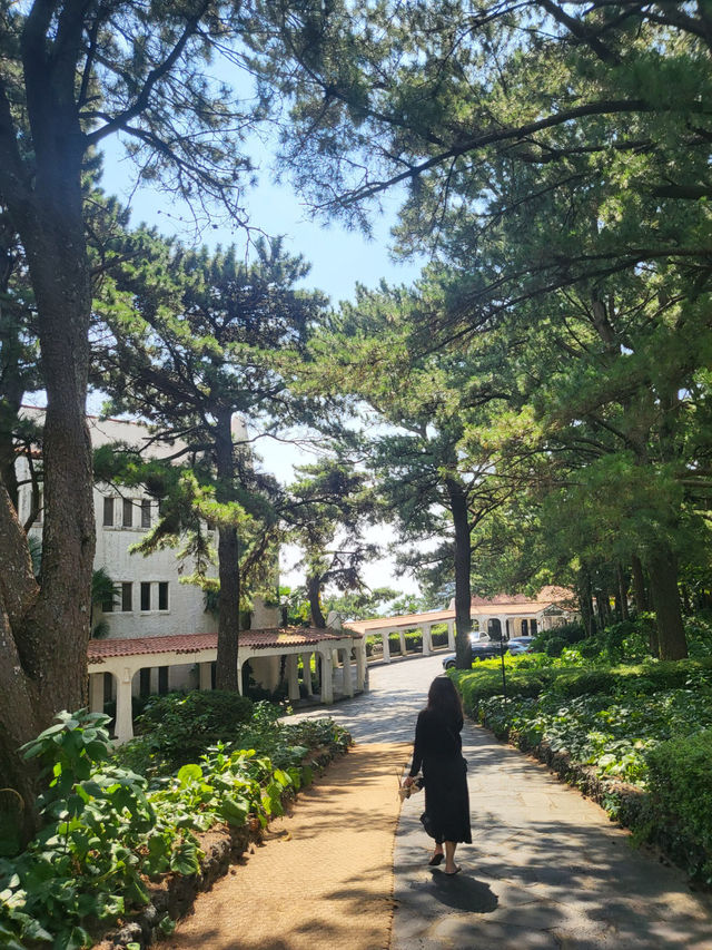 🌴 야자수와 소나무 사이, 바다를 품은 허니문하우스 카페