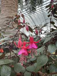 Flower Dome - Garden by the bay