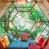 คาเฟ่และร้านอาหาร Vibe ดีริมสระบัวร่มรื่น