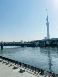 เดินเล่นริมน้ำ Sumida