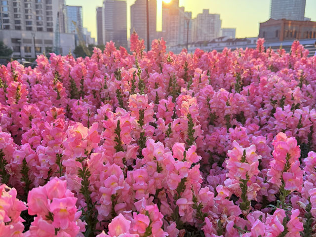 Shanghai 5 Days Itinerary