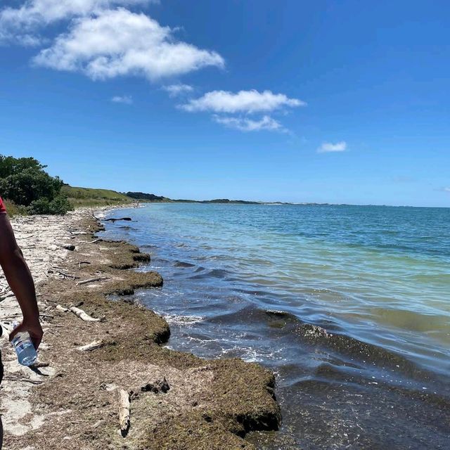 Farewell Spit
