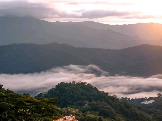 จูเลี๊ยะแคมป์ ม่อนเงาะ 🌿🌧️