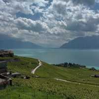 Lavaux Vineyards in Summer: A Sun-Drenched Paradise of Wine & Wanderlust