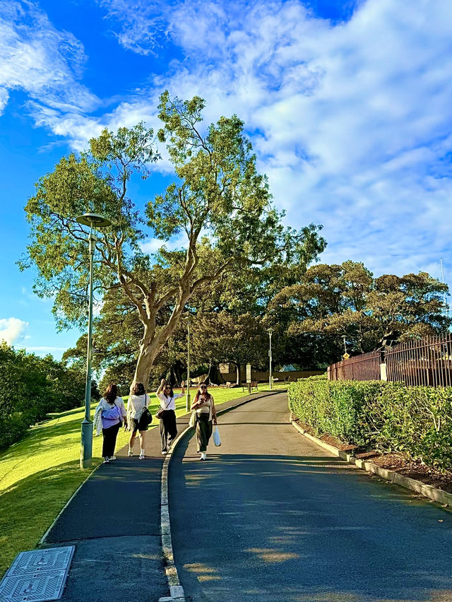ออสเตรเลีย🇦🇺