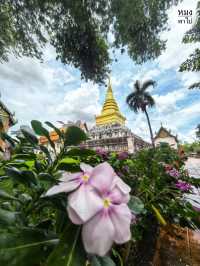 วัดพระธาตุช้างค้ำ จ.น่าน ยามสายๆ