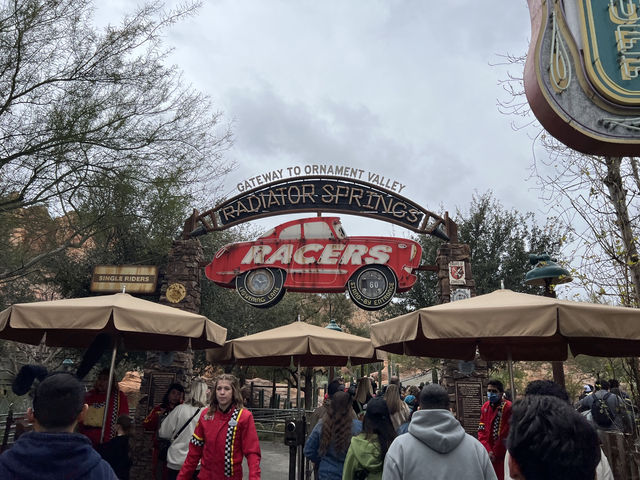 【夢の国】カリフォルニアディズニーで大興奮🇺🇸🐭🏰