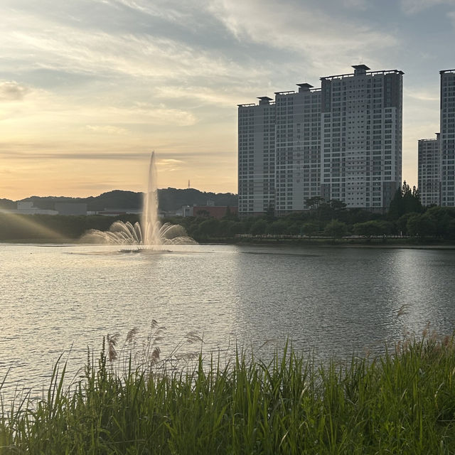 노을이 아름다운 오송호수공원 🌅