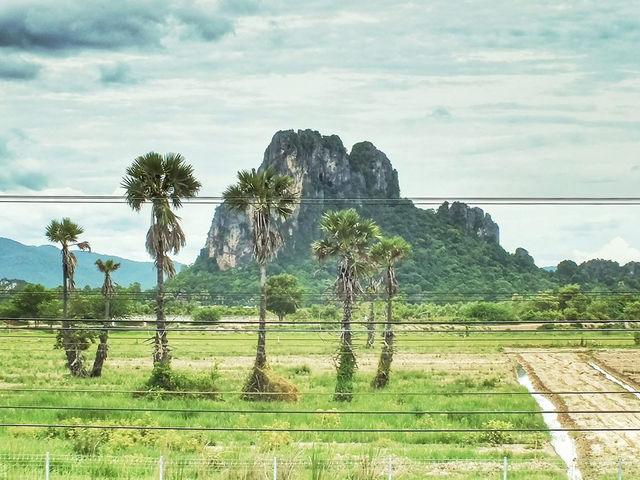 窓の外に広がるペッチャブリーの田園風景が美しすぎた。🌴☀️