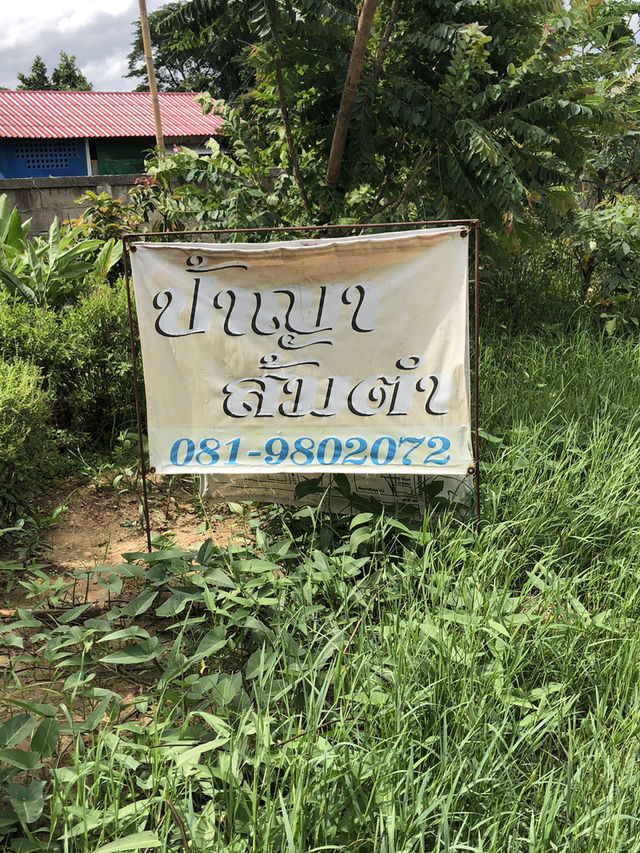 ปากั๋น กิ๋นๆ แอ่วๆ เมืองพาน วันหยุด