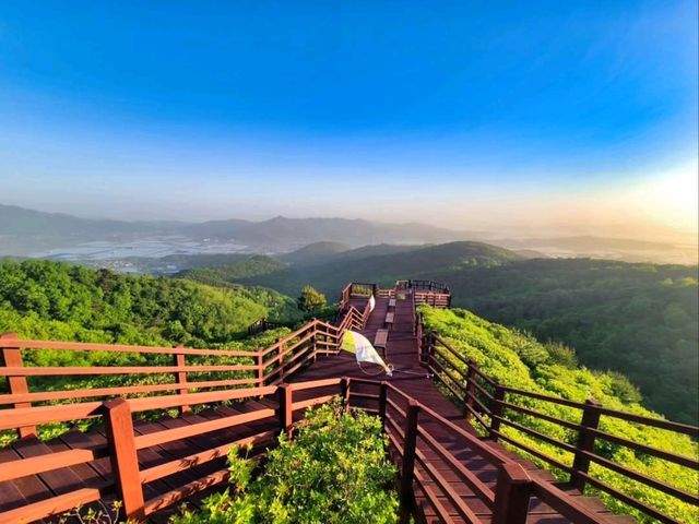 Summer Vibes and Killer Views in Incheon