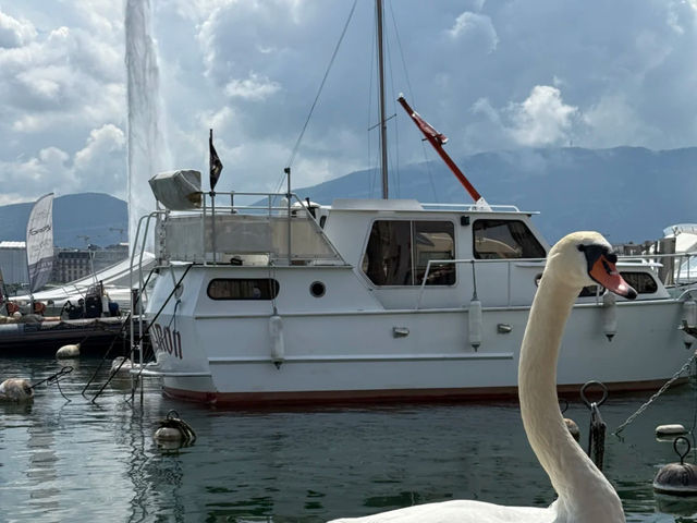 🇨🇭💙 Geneva: You'll Fall in Love with Lake Geneva Again and Again! 