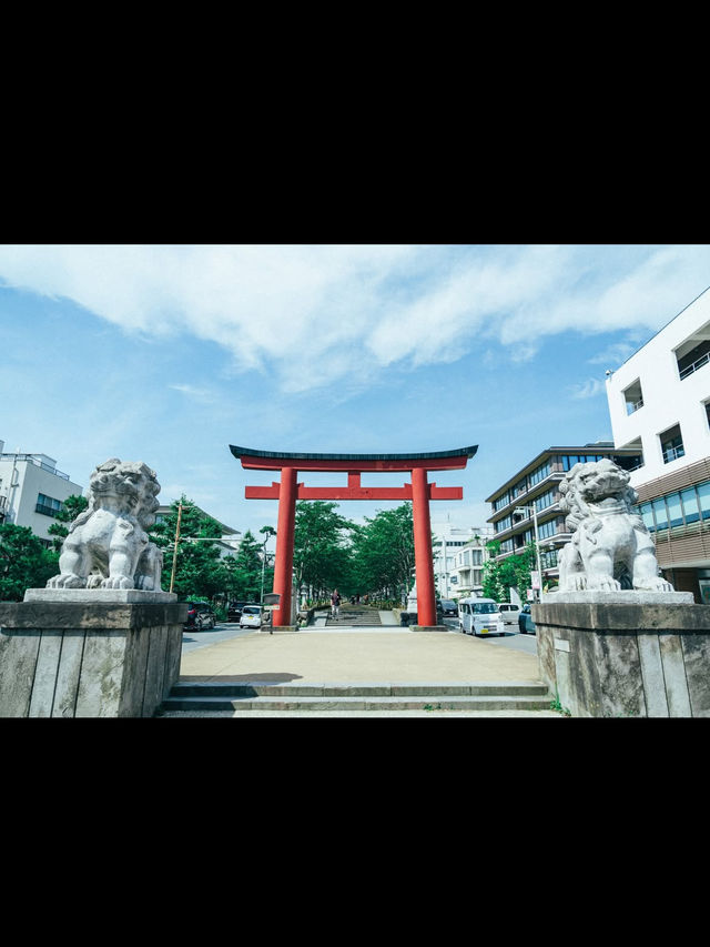 ⛩源氏の歴史と四季の美に触れる「鶴岡八幡宮」で心澄む鎌倉旅