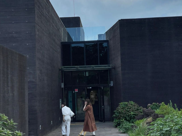 🍵 Jeju Island: A Tranquil Escape to Osulloc Tea Museum!