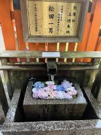 Shrines and souvenirs: what motivated your trip
