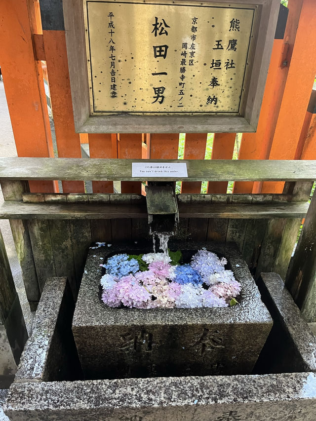 Shrines and souvenirs: what motivated your trip