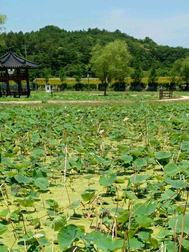 계절을 기다리는 시작점, 삶의 리듬을 채우는 공간