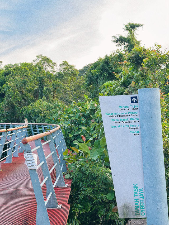 Cardio Cancelled, Healing Activated : Taman Tasik Cyberjaya